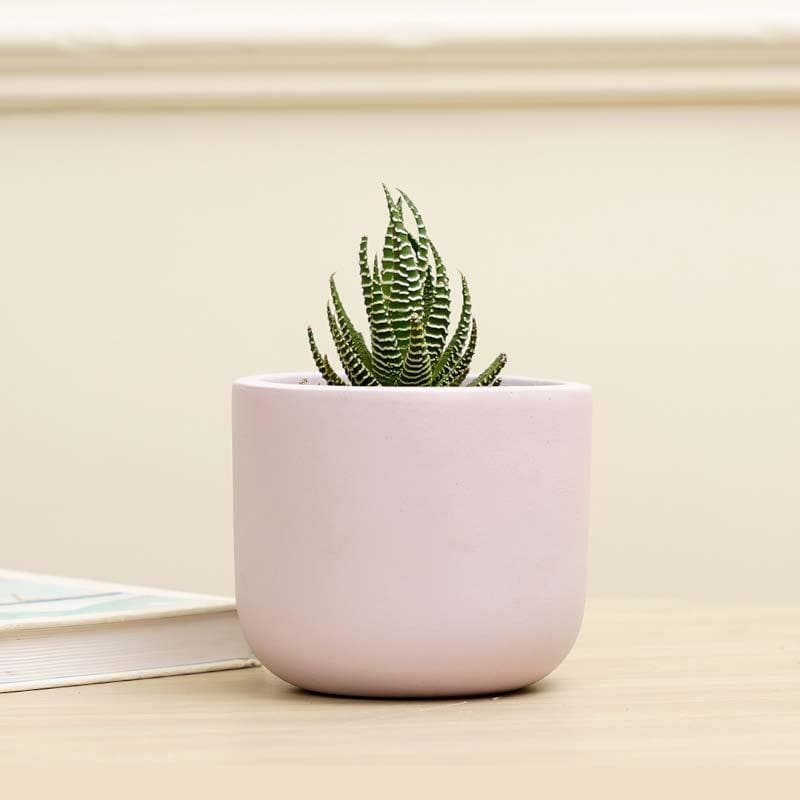 Oh-So Cute Planter- Lilac media 3