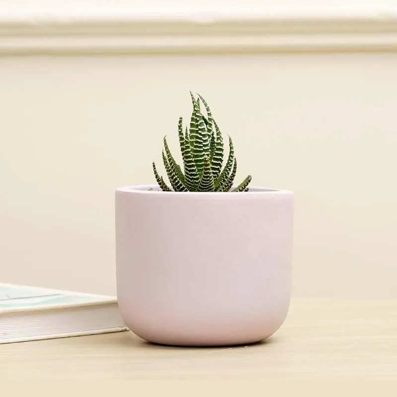 Oh-So Cute Planter- Lilac media 3