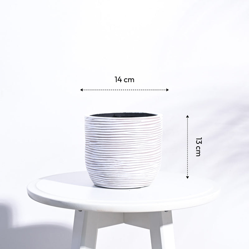 UGAOO Planter Ball Rib - Ivory media 6