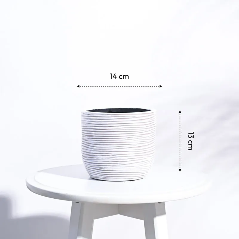 UGAOO Planter Ball Rib - Ivory media 6
