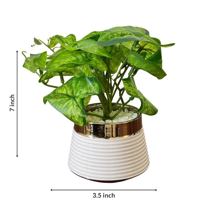 Opalyn Ceramic Vase With Artificial Plant media 6