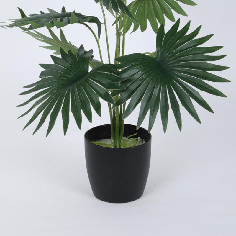 Faux Mini Artificial Tropical Palm Plant With Black Plastic Pot - 55 cms media 3