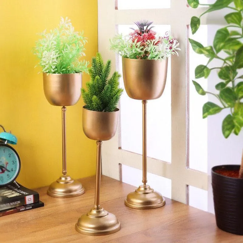Goblet Gala Planter - Set Of Three media 3