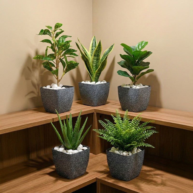 Monvia Garden Planter - Set Of Five media 3