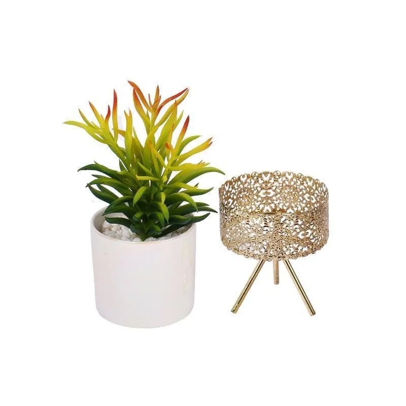 Faux Senecio In Ceramic Pot With Tripod - 25.5 cms media 4