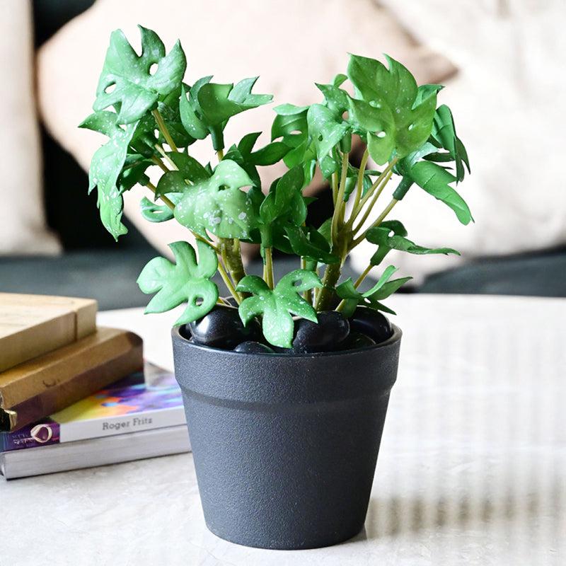 Minstera Artificial Mini Monstera Plant With Black Plastic Pot (Green) - 16 cm media 3