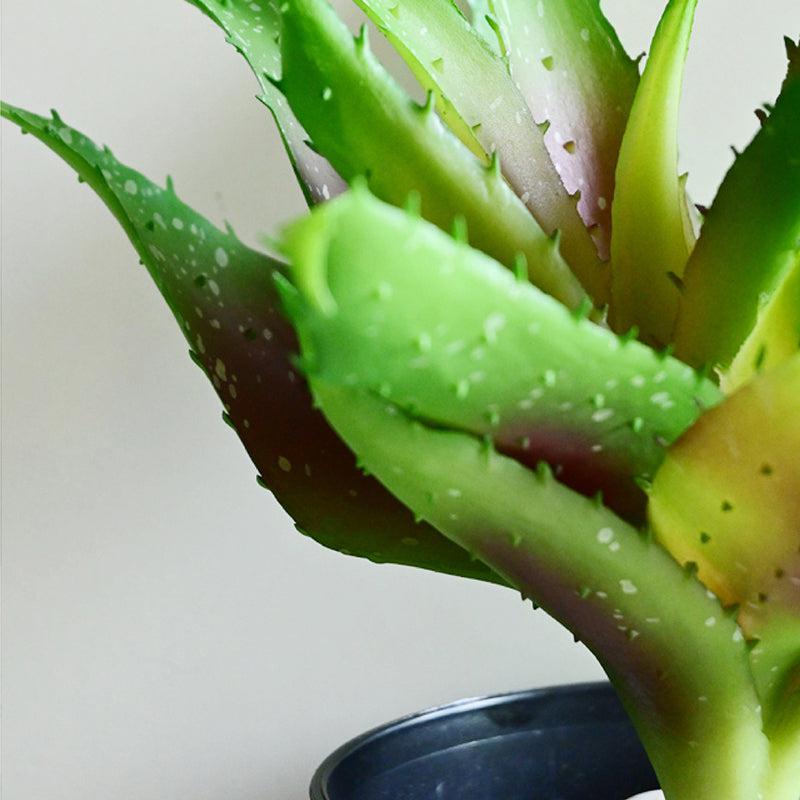 Alvera Artificial Aloe Vera Plant With Black Plastic Pot - 24 cm media 4