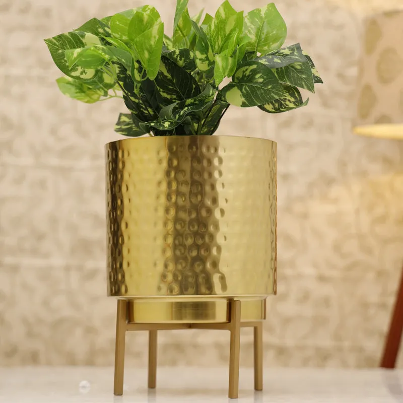 Gold hammered planter with green foliage on stand