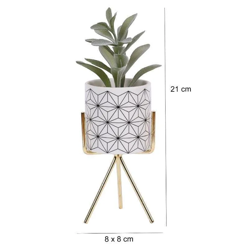 Faux Succulent In Minimalist Pot With Tripod - 23.5 cms media 5