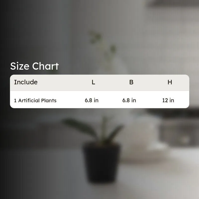 Artificial White Orchid Flower Plant With Fiber Pot - 1 Feet media 5
