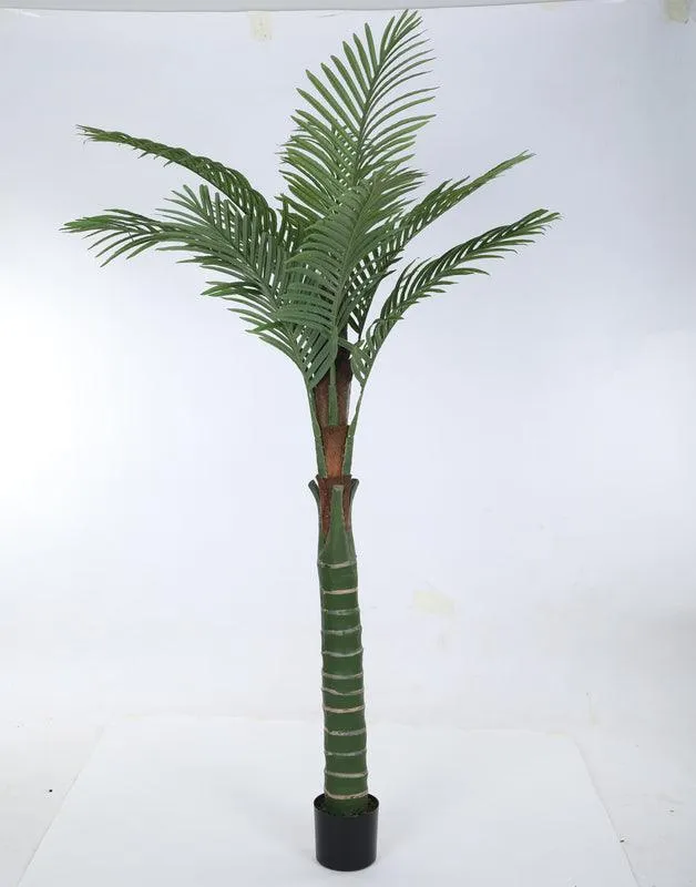 Faux Tall Feather Palm Plant With Black Plastic Pot - 6.56 ft media 6