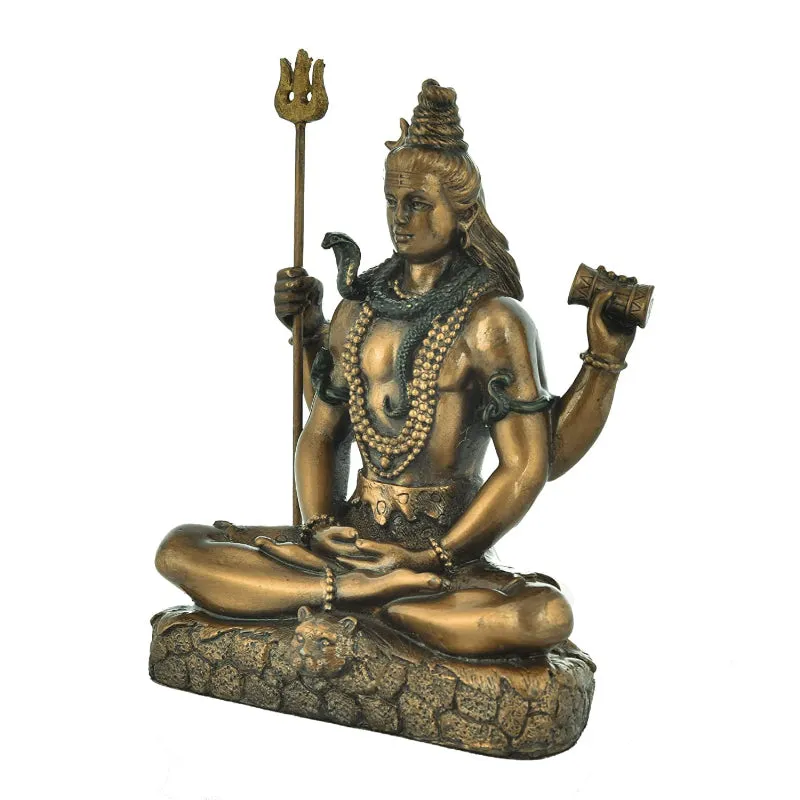 Shiva Bronzwe Idol media 3
