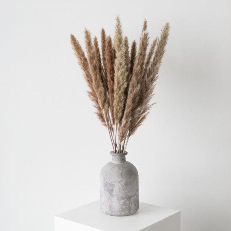 Mini Naturally Dried Pampas (Brown) - Set Of Ten media 4