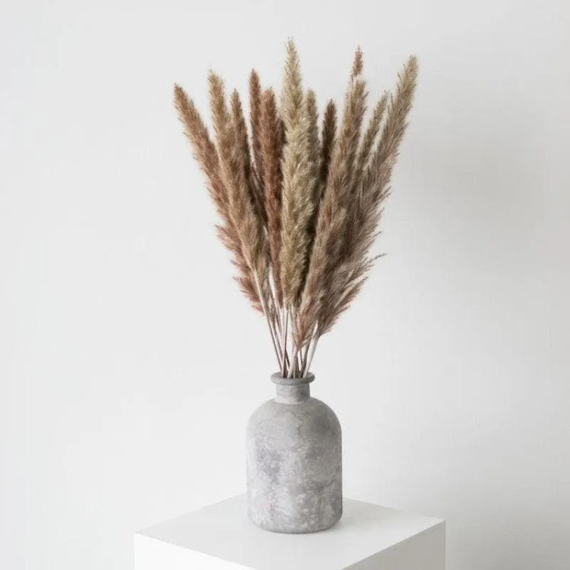 Mini Naturally Dried Pampas (Brown) - Set Of Ten media 4