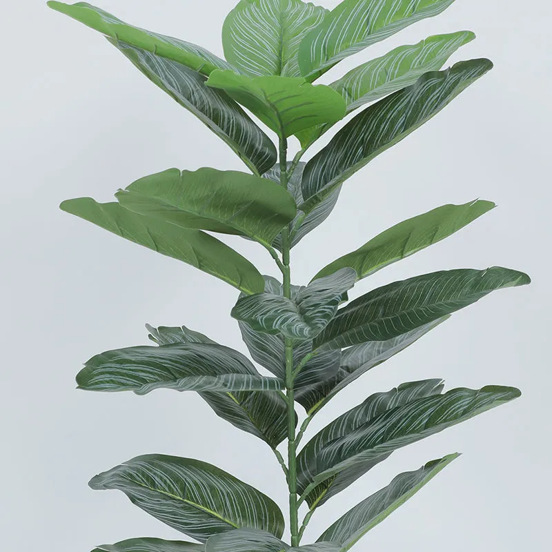 Edira Artificial Dieffenbachia Plant With Black Plastic Pot - 2.6 Feet media 5