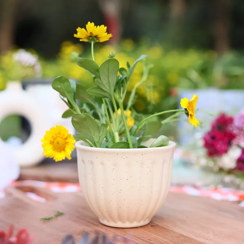 Tazio Ceramic Planter - Cream media 5