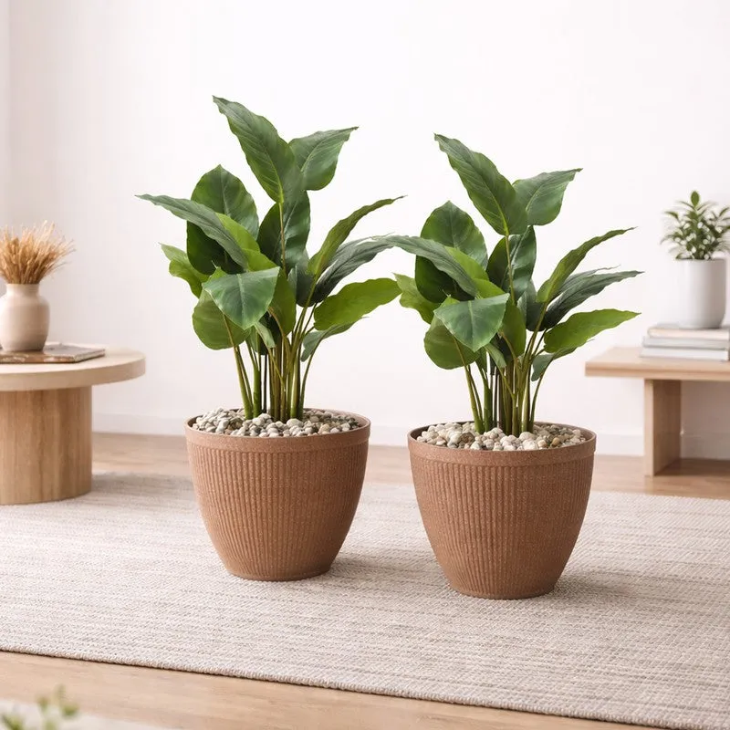 BloomBin Planters (Brown) - Set Of Two media 5