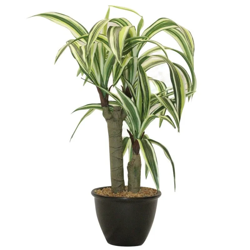 Artificial White Dracaena Bonsai Plant With White Ceramic Pot - 1.8 Feet media 4
