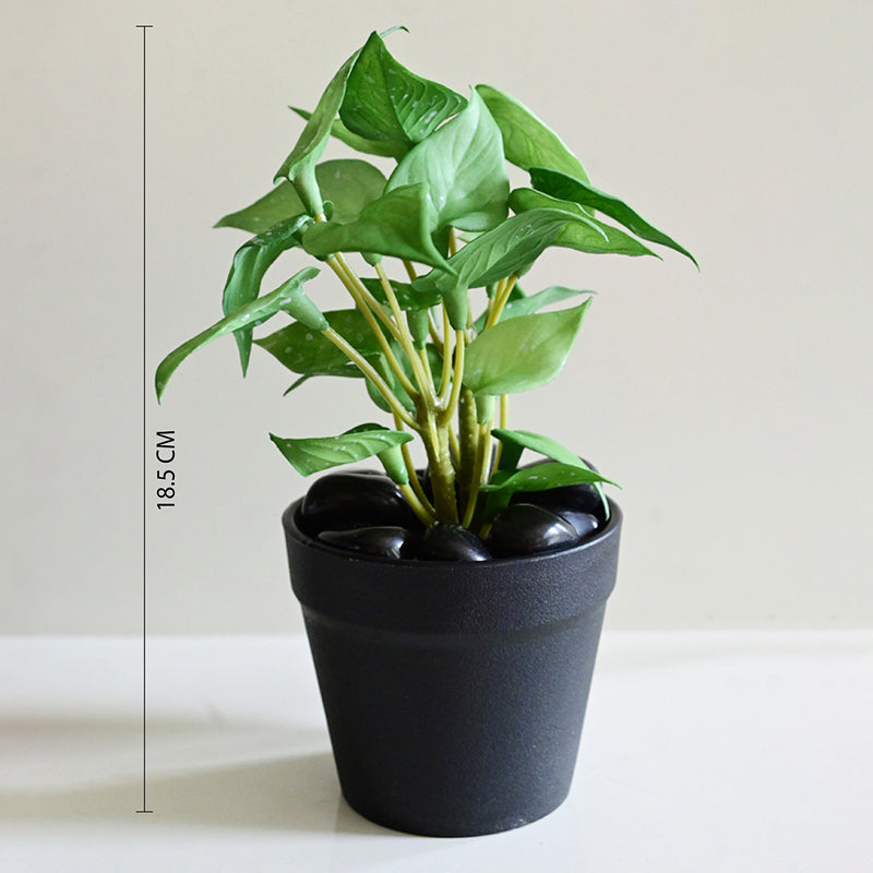 Moniva Artificial Pothos/Money Plant With Black Plastic Pot (Green) - 19 cm media 6