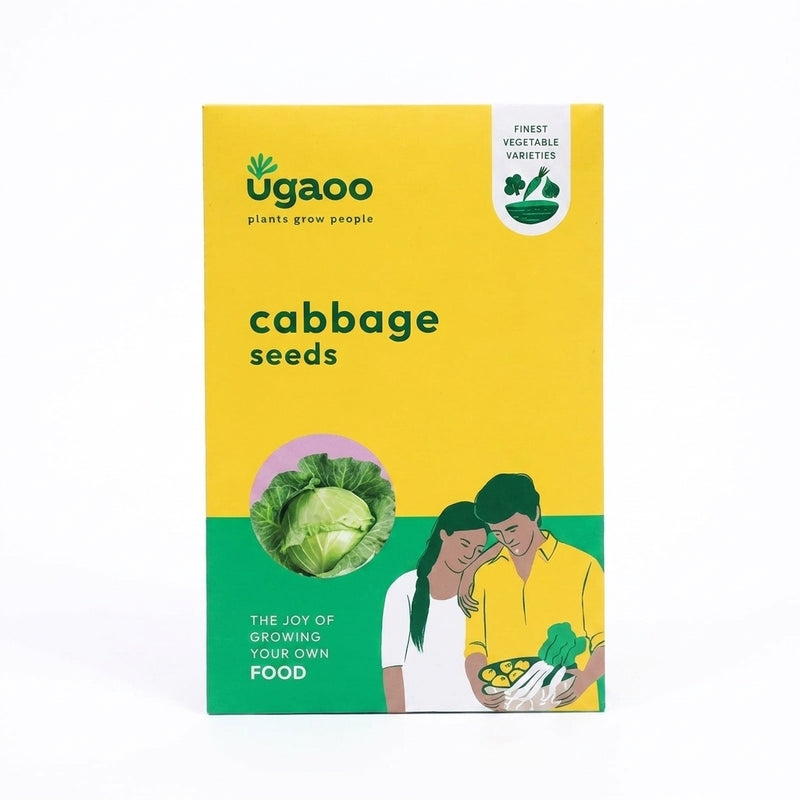 Ugaoo Cabbage Seeds media 5
