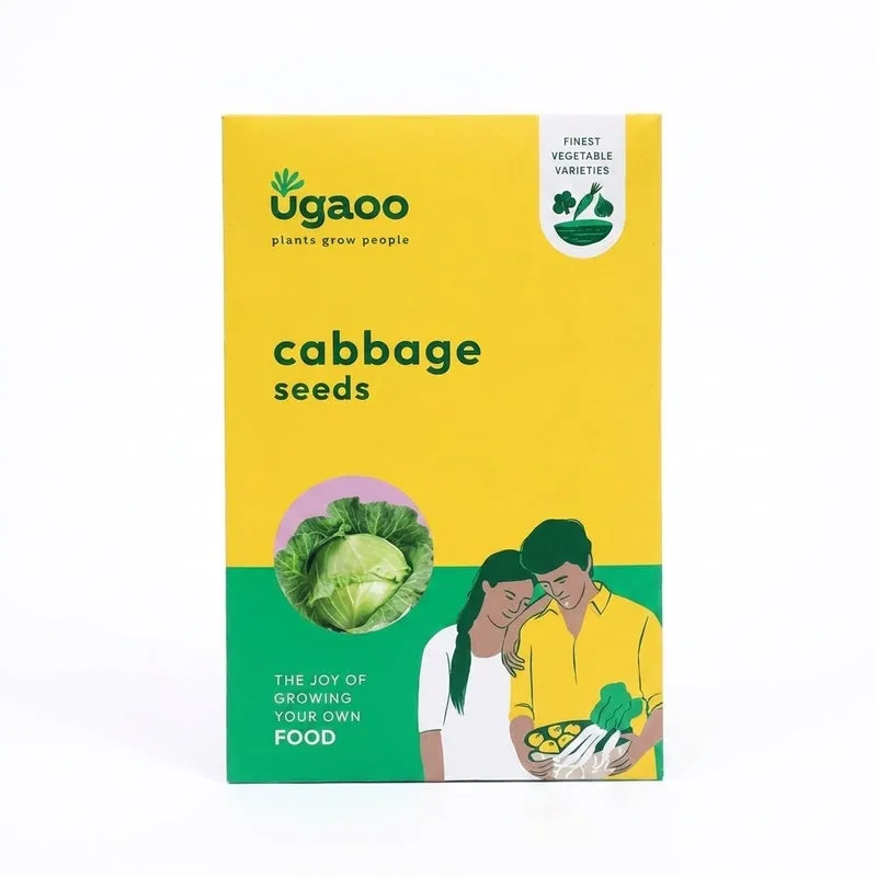 Front view of the yellow Ugaoo cabbage seeds packet on a plain background.