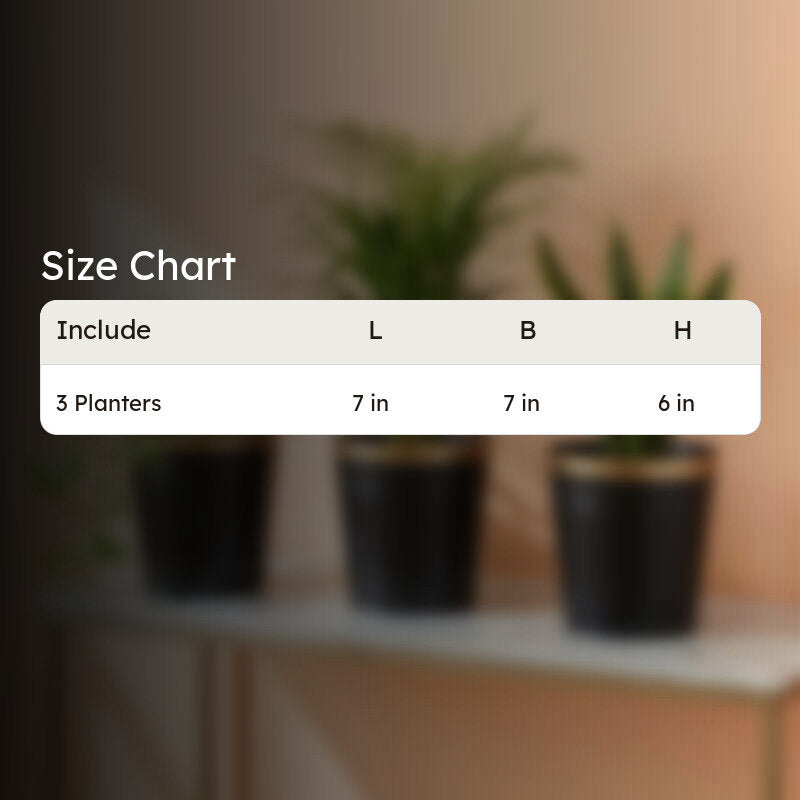 Leafora Iron Planter (Black) - Set Of Three media 11