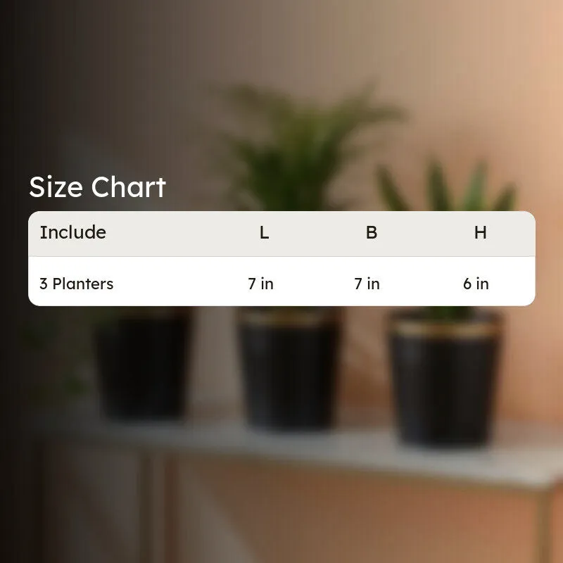 Leafora Iron Planter (Black) - Set Of Three media 11