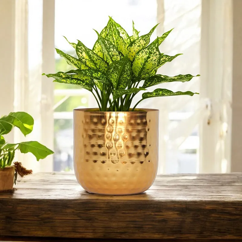 Anvil Bloom Hammered Metal Planter media 2