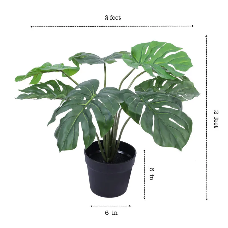 Artificial Realistic Monstera Plant in Black Plastic Pot media 7