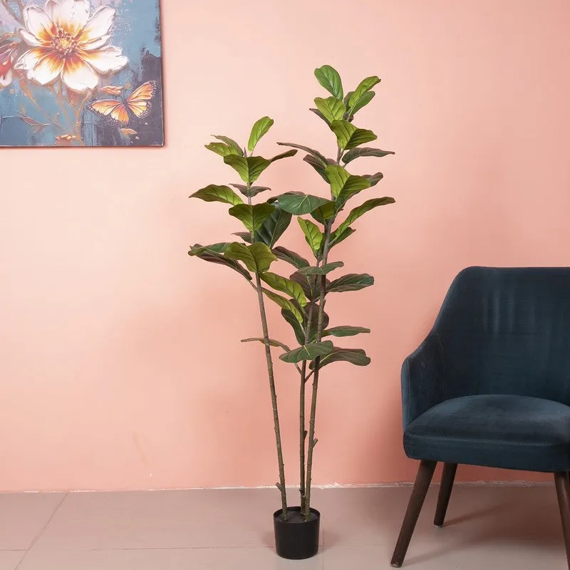 Artisan Fig Artificial Plant With Black Plastic Pot media 3