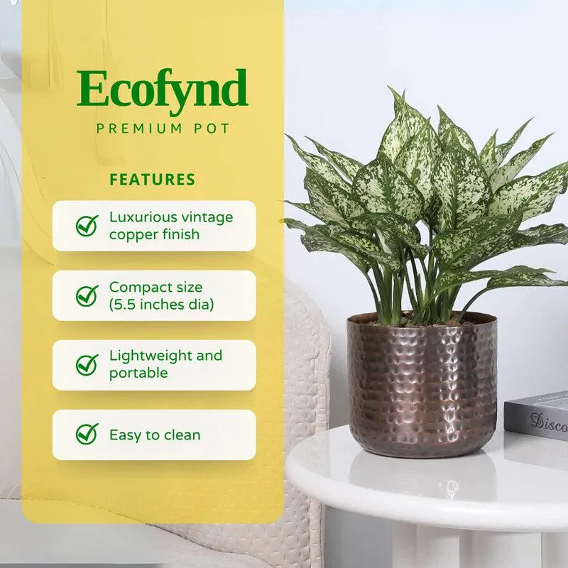 Textured copper-toned planter styled with a leafy plant on a side table