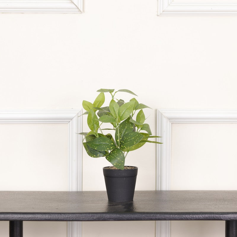 Artificial Grey Croton Plant With Black Fiber Pot - 0.9 Feet media 3