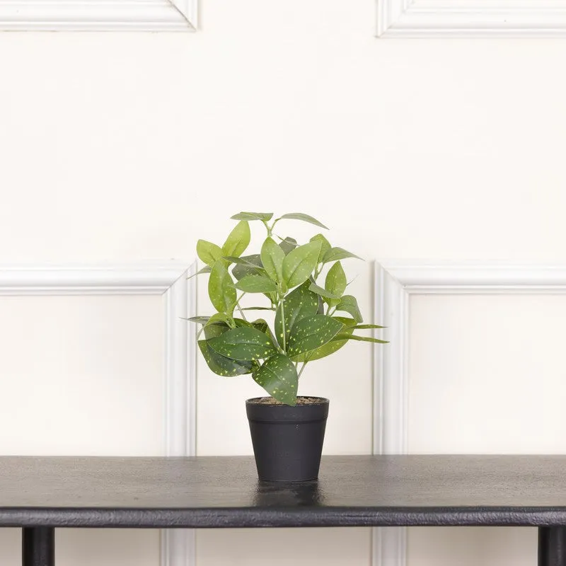 Artificial Grey Croton Plant With Black Fiber Pot - 0.9 Feet media 3
