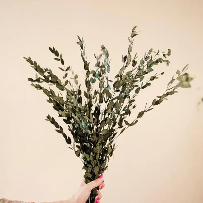 Naturali Dried Eucalyptus Leaf Stick - Set Of Five media 3