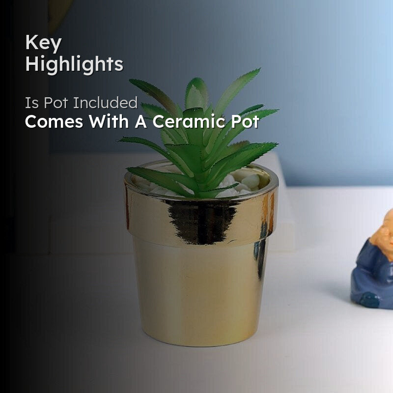 Faux Crassula In Ceramic Pot - 13.5 cms media 2
