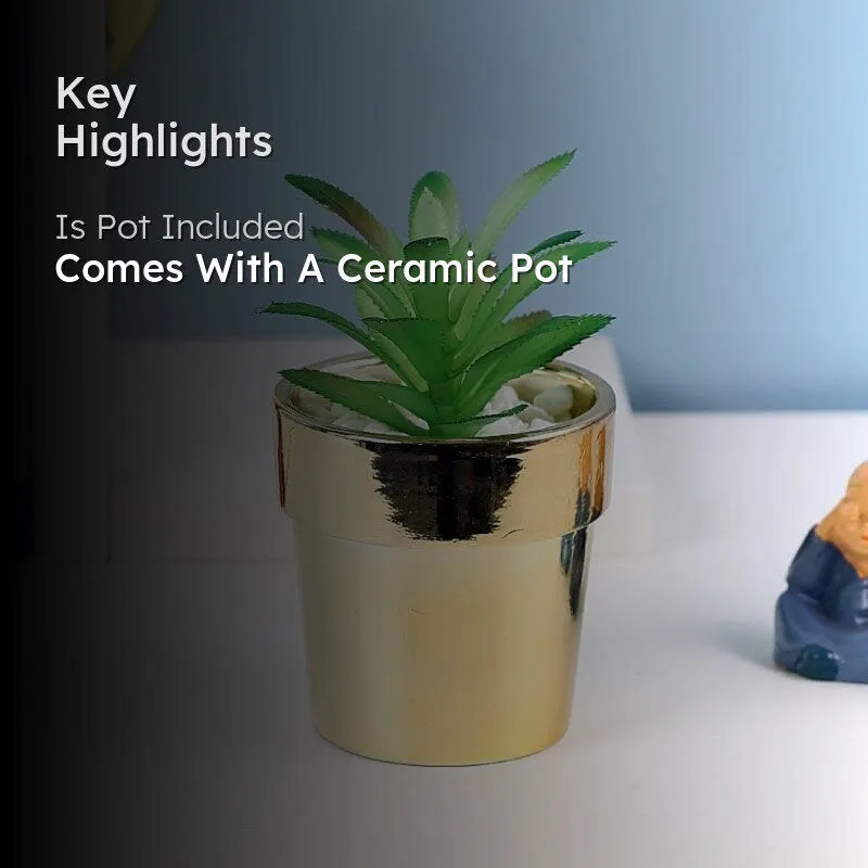 Faux Crassula In Ceramic Pot - 13.5 cms media 2