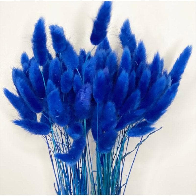 Naturally Dried Bunny Tail Stems (Blue) - Set Of Fifty media 3