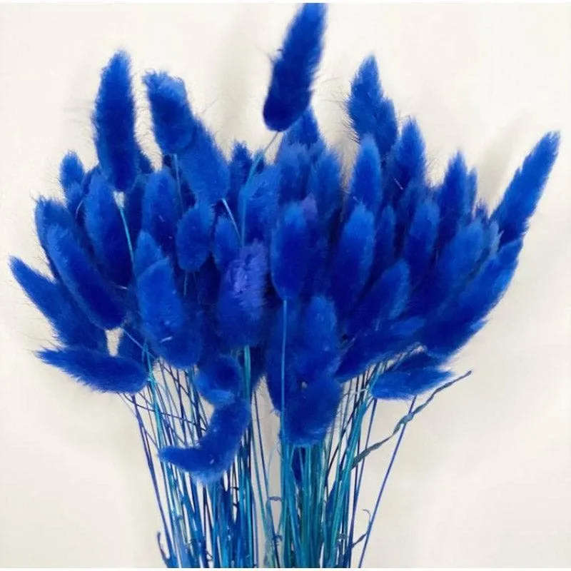 Naturally Dried Bunny Tail Stems (Blue) - Set Of Fifty media 3