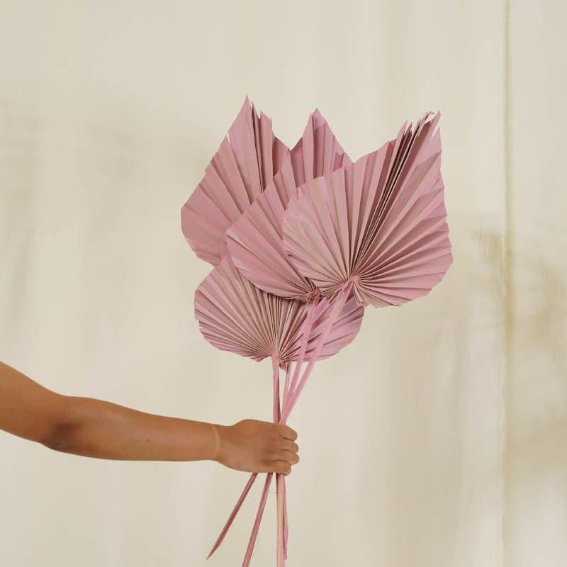 (Pink) Palm Leaf (20 cms) - Set Of Five Stems media 3