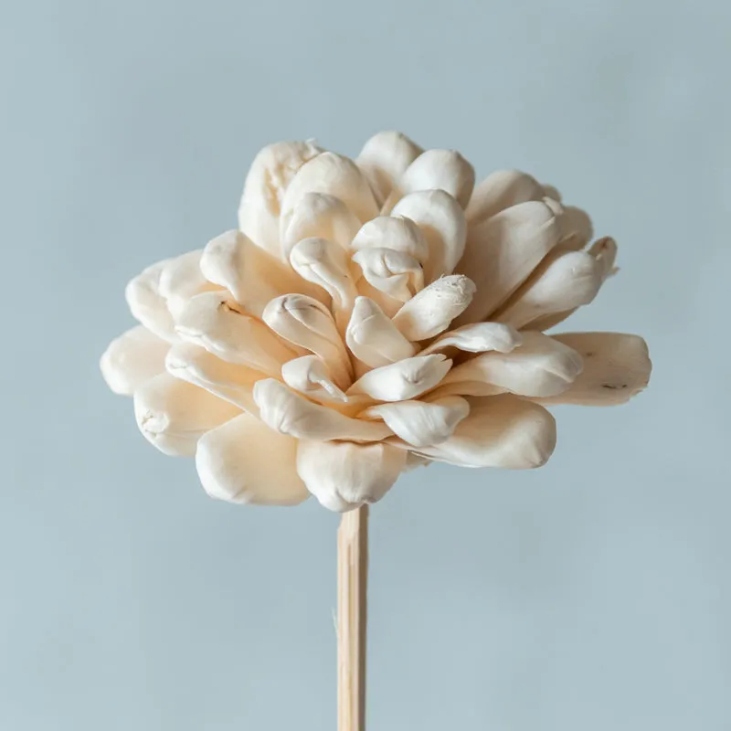 Close-up of a white layered rose-like flower on a slender stick