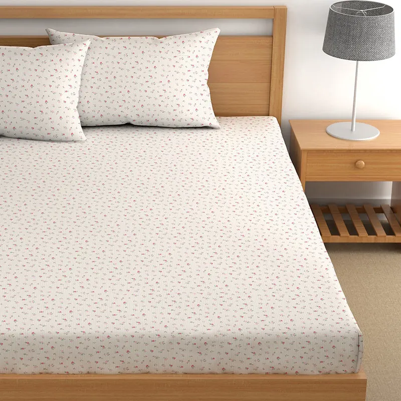 Arlene II Fitted Microfiber Microfiber Bedsheet - 150 GSM media 4
