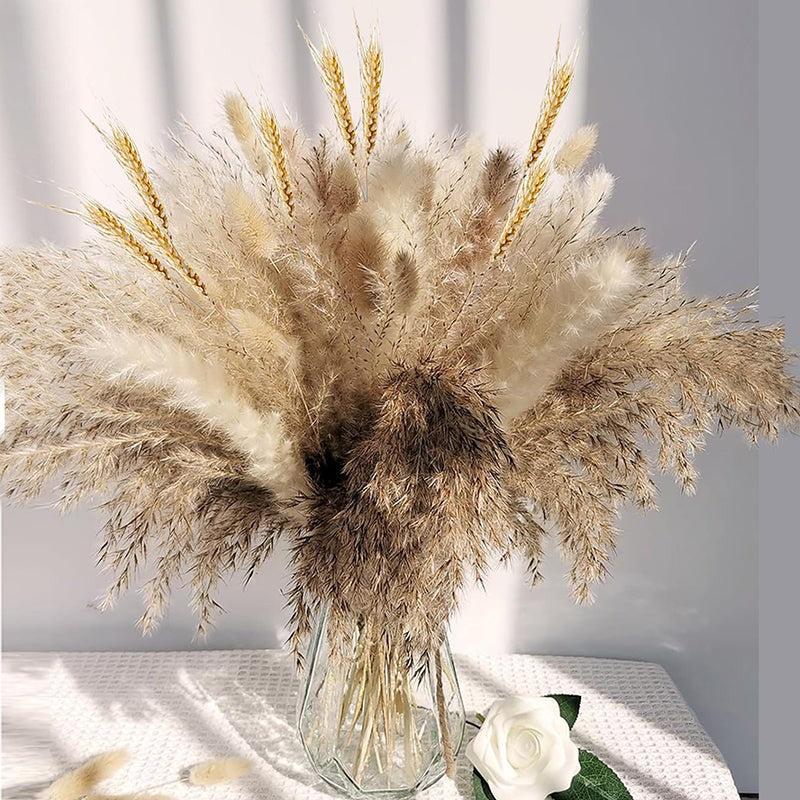 Dried Flowers & Leaves