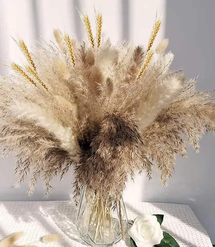 Dried Flowers & Leaves
