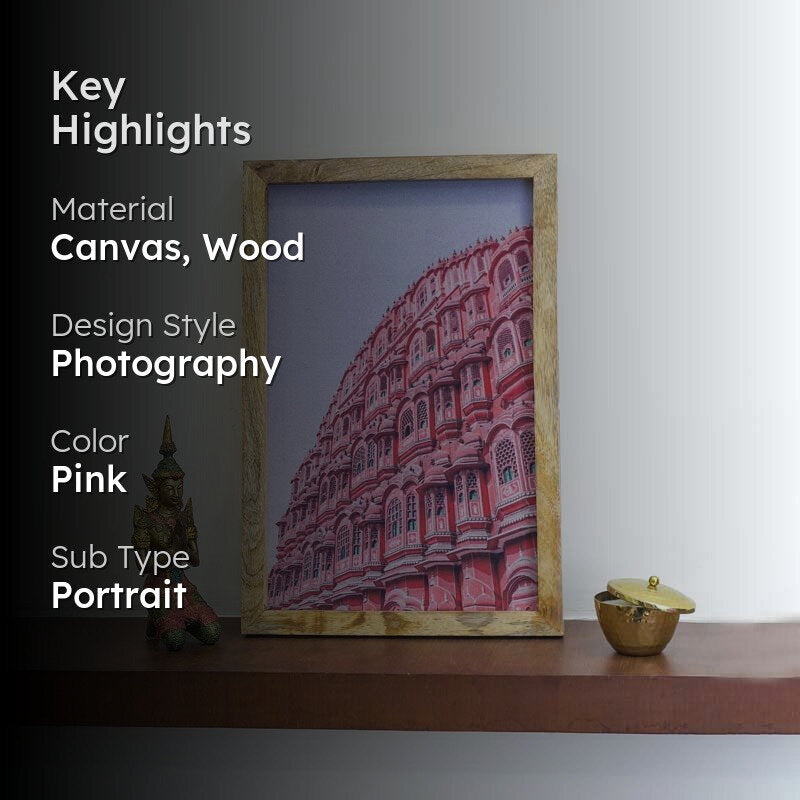 Shandaar Hawa Mahal Canvas Painting media 2