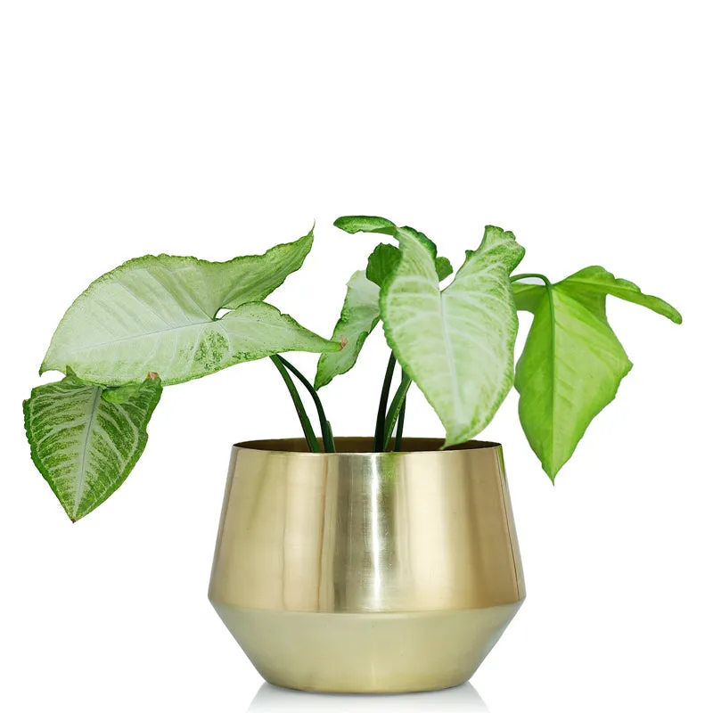 Simone Oak Planter media 5