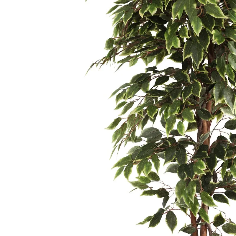 Artificial Variegated Ficus Plant With Black Plastic Pot - 7 ft media 5