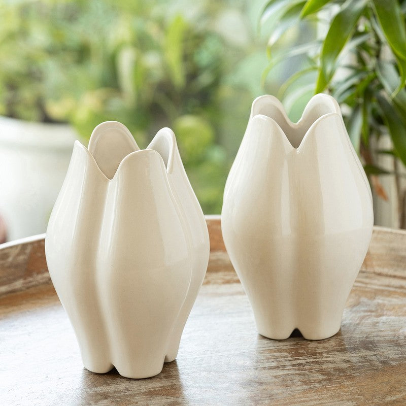 Amara Ceramic Vase - Set Of Two