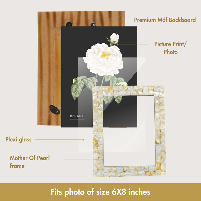 Nacrae I Mother Of Pearl MDF Photo Frame media 7