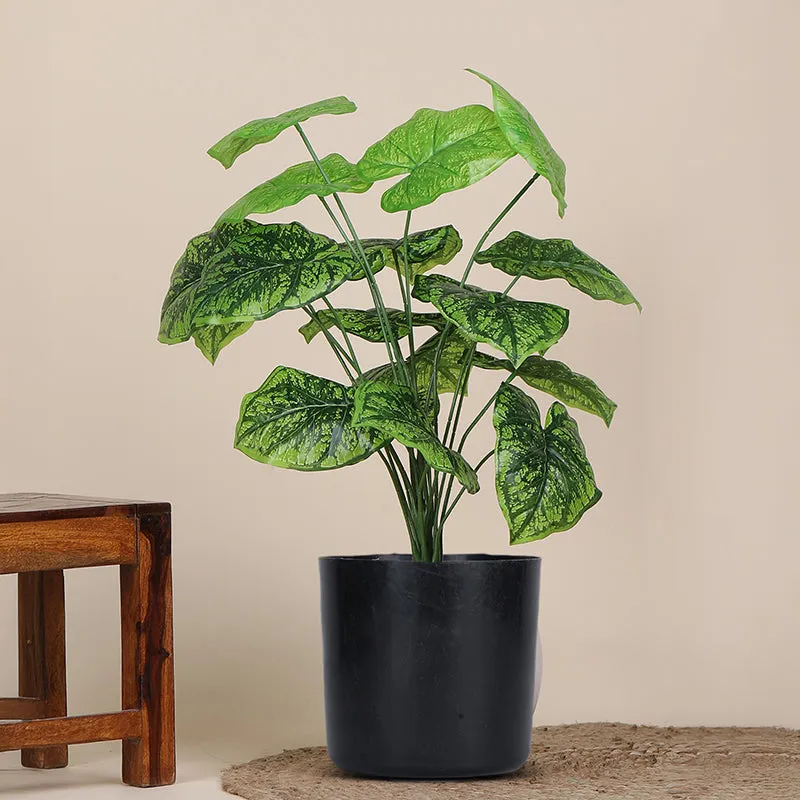 Botanika Artificial Colocasia With Black Plastic Pot & pebbles (Dark Green) - 2 Feet media 1