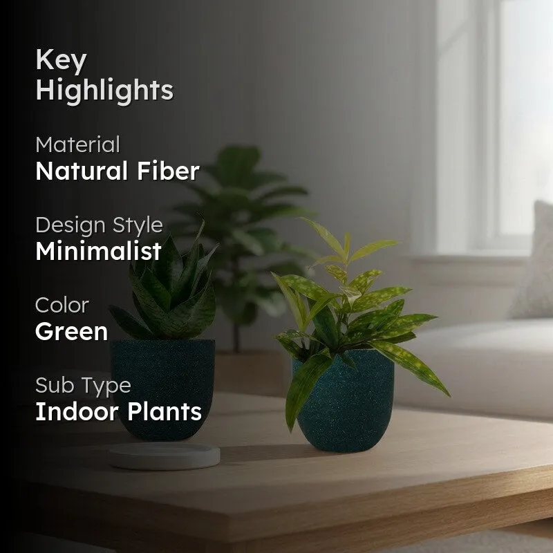 Greenkin Bamboo & Snake Live Plants (Green) - Set Of Two media 2